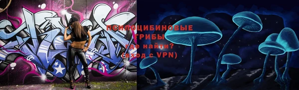 соль ск Лабытнанги