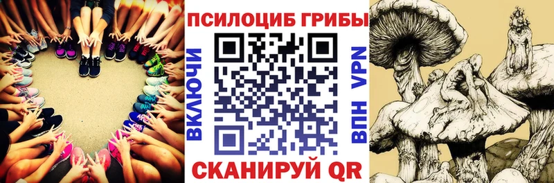 Галлюциногенные грибы MAGIC MUSHROOMS где продают Новый Оскол